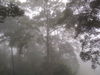 P8100390.JPG